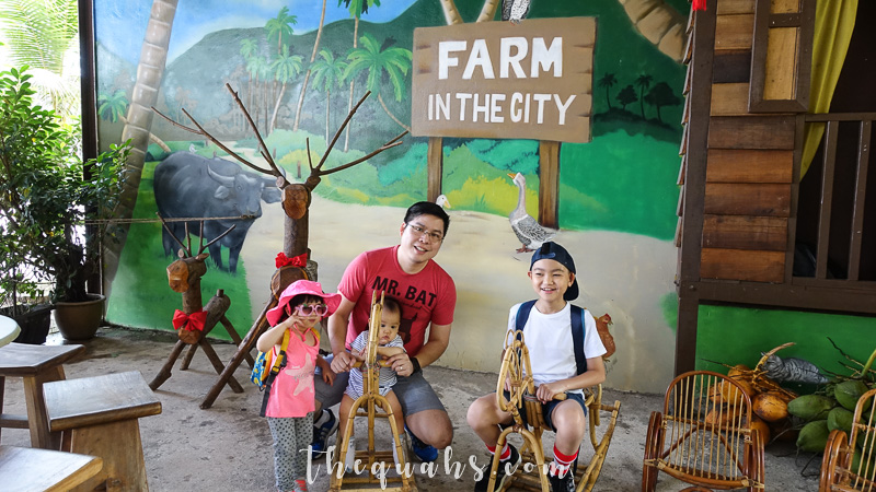 Enjoy Animals And The Outdoors Farm In The City Thequahs Com